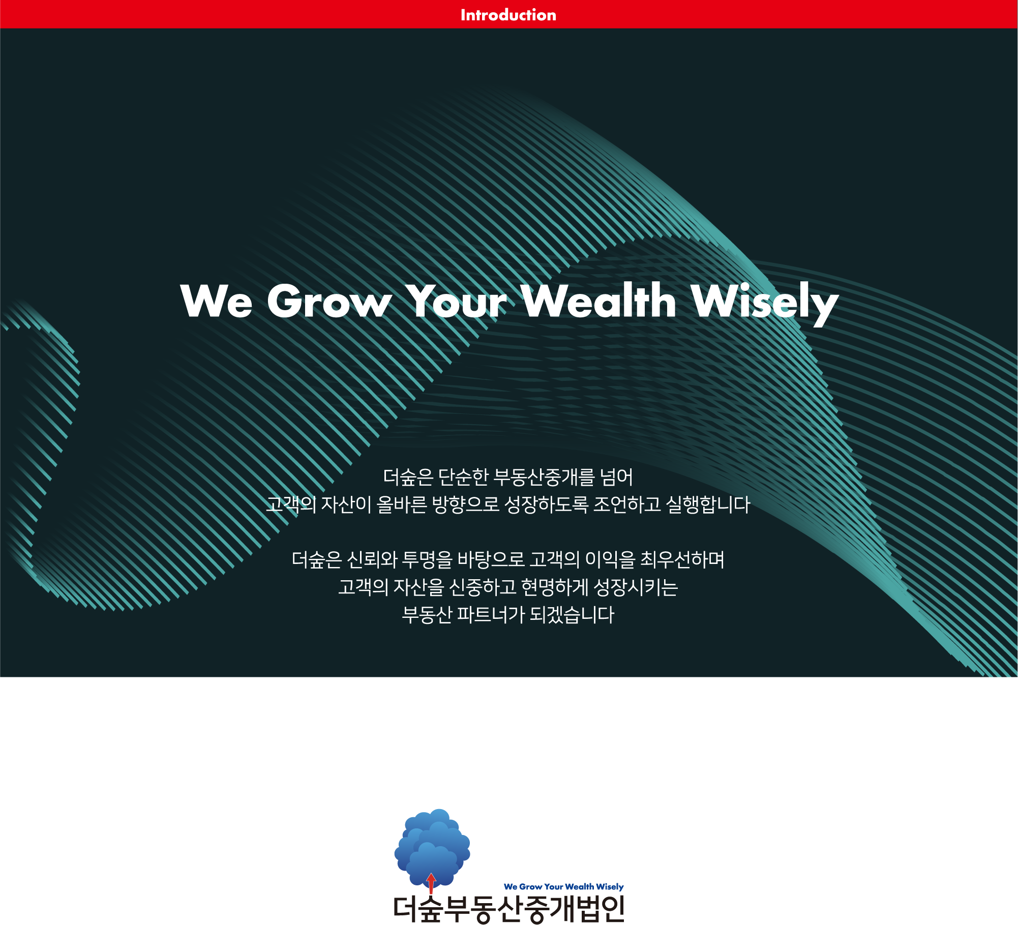 Introduction - We Grow Your Wealth Wisely